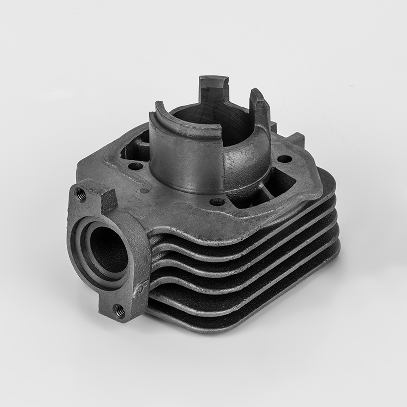 LVDIX (Φ40) series cylindrici motorcycli durabilis