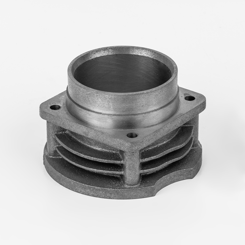 BW125 (Φ65) aer pressor cylindrici series alta praecisione